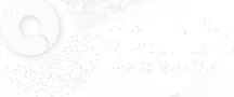 logo light